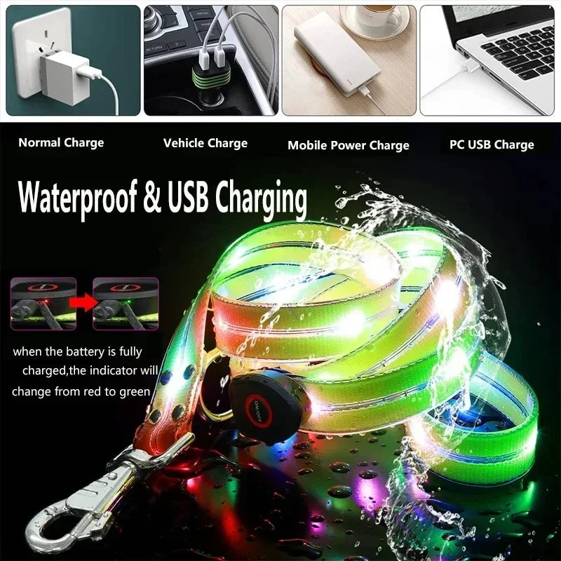 LED Light-Up Dog Leash- Walking- Safety- Glow in The Dark- USB Rechargeable- Adjustable- for Large Medium Small Pet Lighted Dog Collar