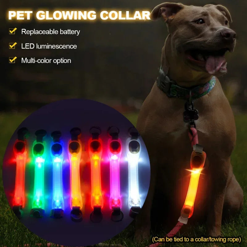 Waterproof Dog Anti-Lost Safety Glowing Collar-Multi-Color Pendants-Outdoor- LED Light Strip- Night Visibility-Collar/Leashes