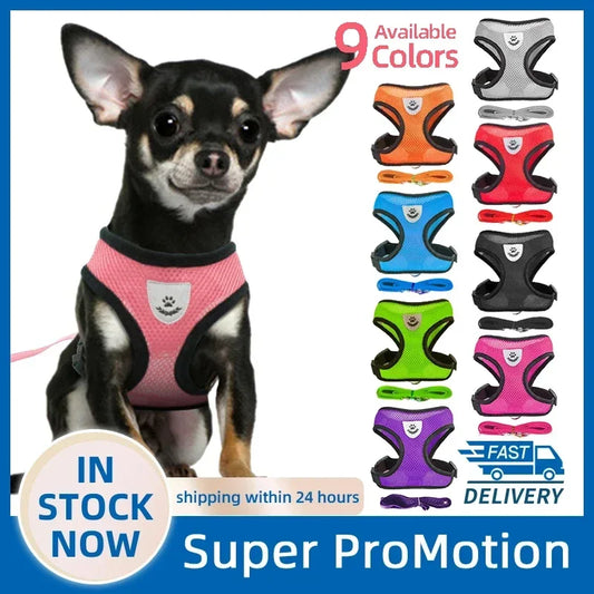 Dog Harness Walking Lead Leash-Polyester- Adjustable Mesh-sizes S to XL-Collars/Leashes