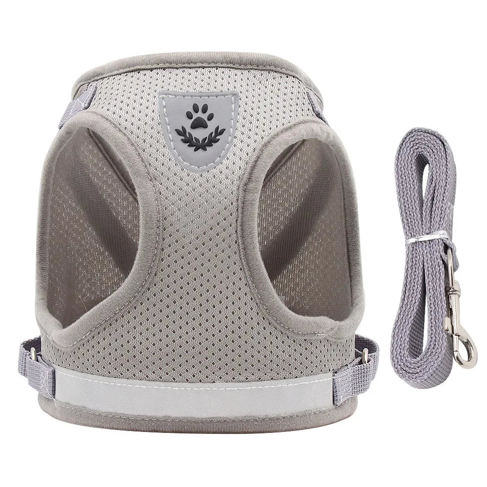 Adjustable Pet Dog Harness and Leash Set- Harness Vest for Dogs