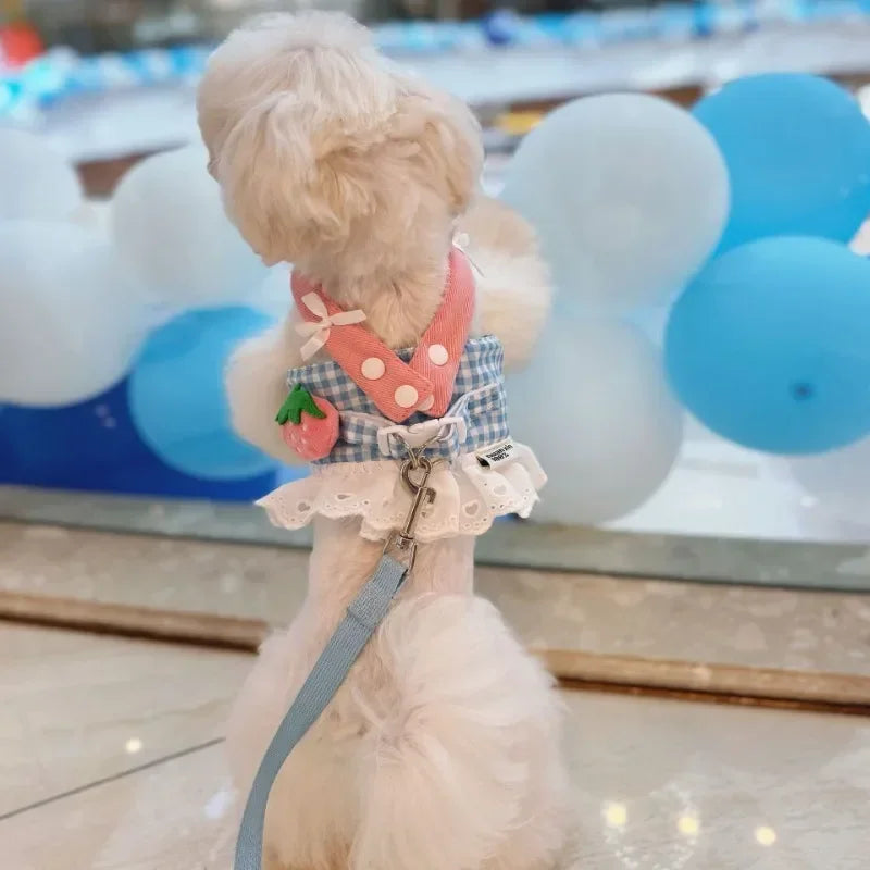 Dog Strawberry Lace Harness Leash Set- Vest Lace Chest Strap-Sizes XS to XL Dogs- Collars/Leashes