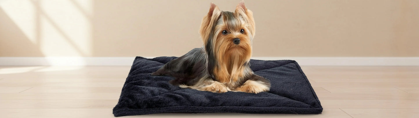 Self-Warming Bed for Indoors- Small Dogs- Washable Quilted Faux Fur- Heat Reflecting Pet Mat - Black, Small (2-Pack)