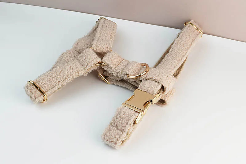 4 pcs Teddy Velvet Dog Collar/Leash Set- Custom Engraved Nameplate-Collars/Leashes