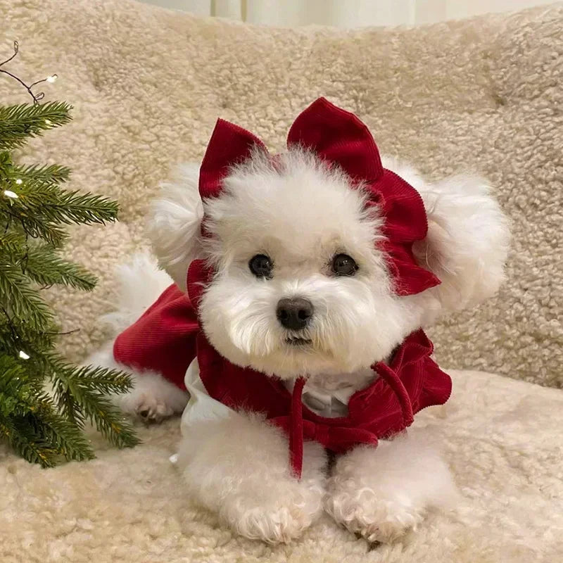 Christmas Princess Dress- Bow Knot -Winter Warm Dog Clothes