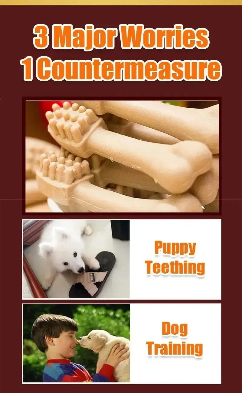 New Dog Bruxism Stick Toothbrush- Bone Shape -Fresh Natural Nutrition- Healthy -Adult Dogs Puppy Training Rewards-Snacks