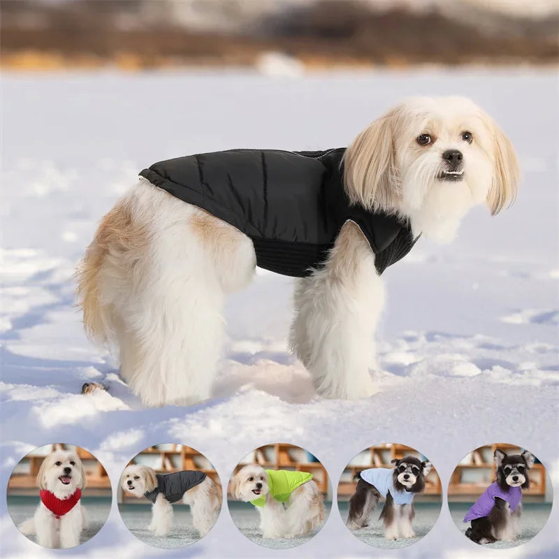 Winter Warm Dog Cotton Coats- Back Zipper- Windproof- Thickness Clothes for Small Medium Dogs Chihuahua French Bulldog Outfits