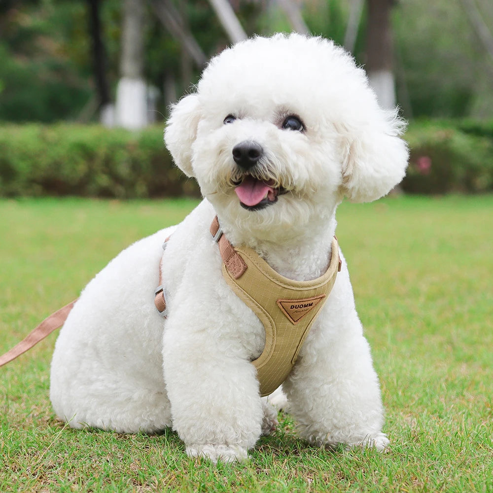 Newest Dog Harness/Leash Set-Adjustable Pet Harnesses Chihuahua Poodle Bichon-Sizes XS to L-Collars/Leashes