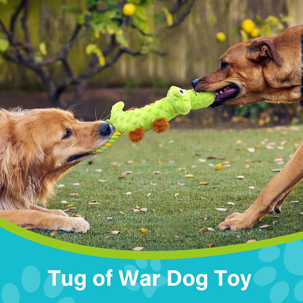 Plush Dog Squeaky Toy- 2 Pack- Tug of War Dog Toys for Dogs- Interactive Plush Puppy Chew Toy