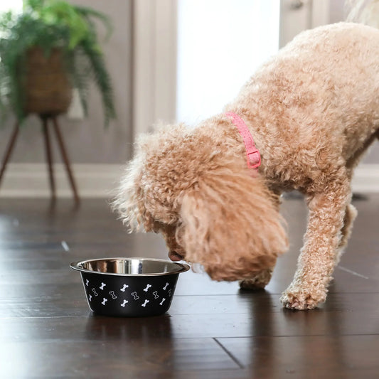 (2 pack) Vibrant Life Medium Stainless Steel Dog Bowl, Black with Bones, 25.75 Fluid Ounces