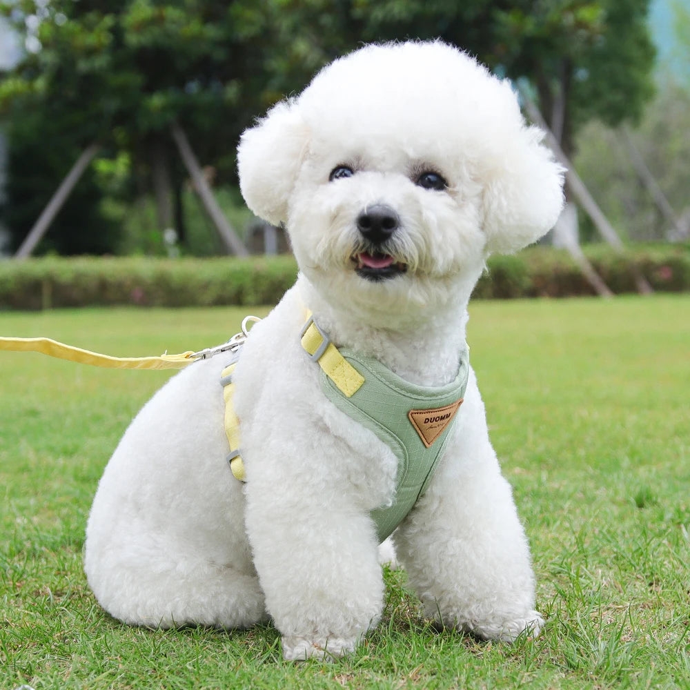 Newest Dog Harness/Leash Set-Adjustable Pet Harnesses Chihuahua Poodle Bichon-Sizes XS to L-Collars/Leashes
