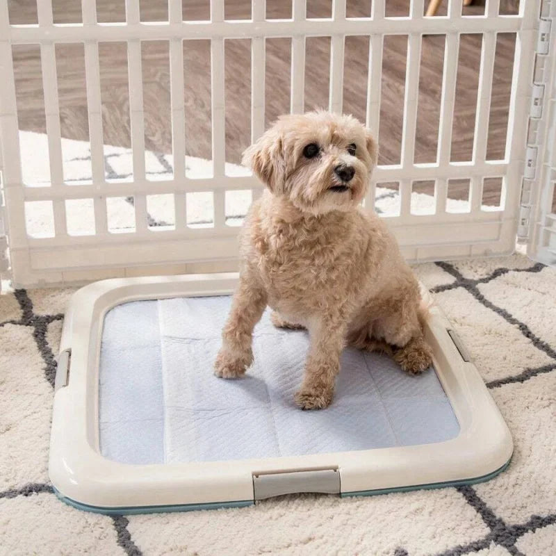 Dog Potty Pad Holder - Fits 23"L X 22.75"W Pads 1.37"H- For Puppy Housebreaking-Training