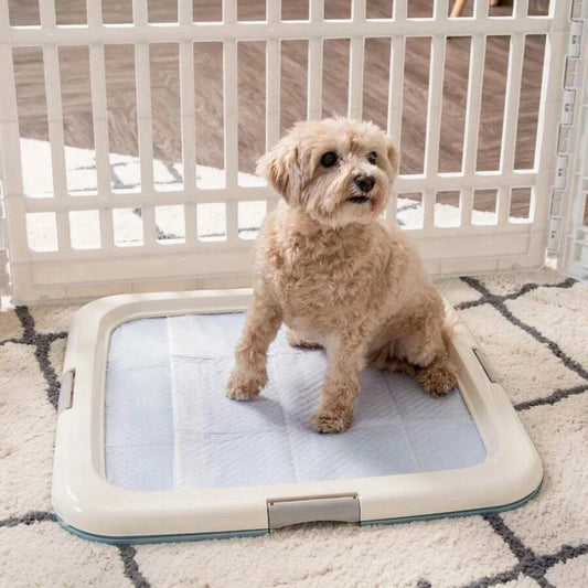 Dog Potty Pad Holder - Fits 23"L X 22.75"W Pads 1.37"H- For Puppy Housebreaking-Training
