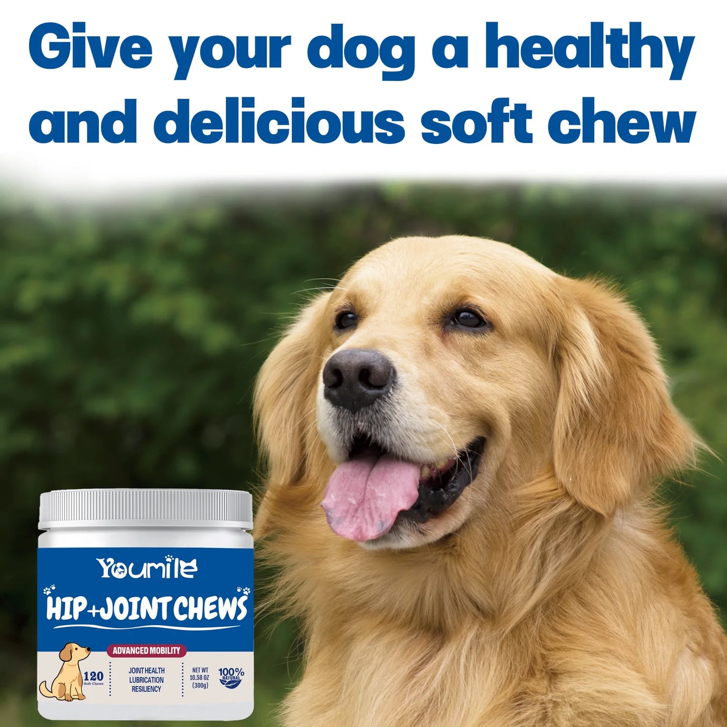 Youmile Dog Joint Supplement with Hyaluronic Acid - Glucosamine Chondroitin Tablets for Arthritis Pain Relief