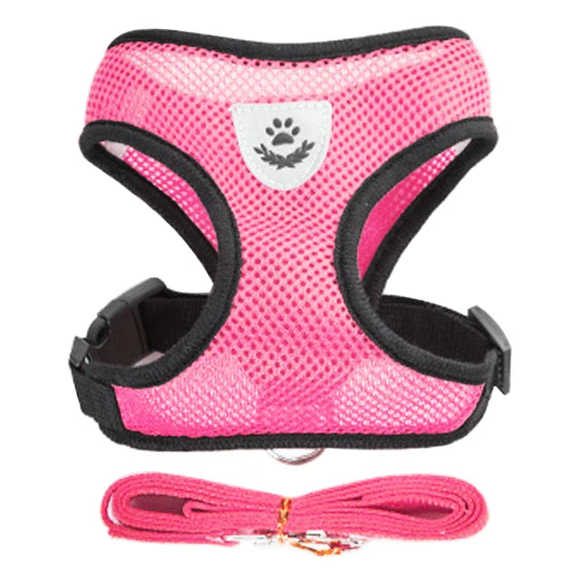 Dog Harness Walking Lead Leash-Polyester- Adjustable Mesh-sizes S to XL-Collars/Leashes