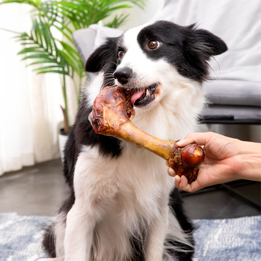 Large Cow Bone-5.29-6.70oz/(150-190g)  6.30in/16cm-All Natural Ingredients-Healthy-Easily Digestible-Pet Bowl/Feeding