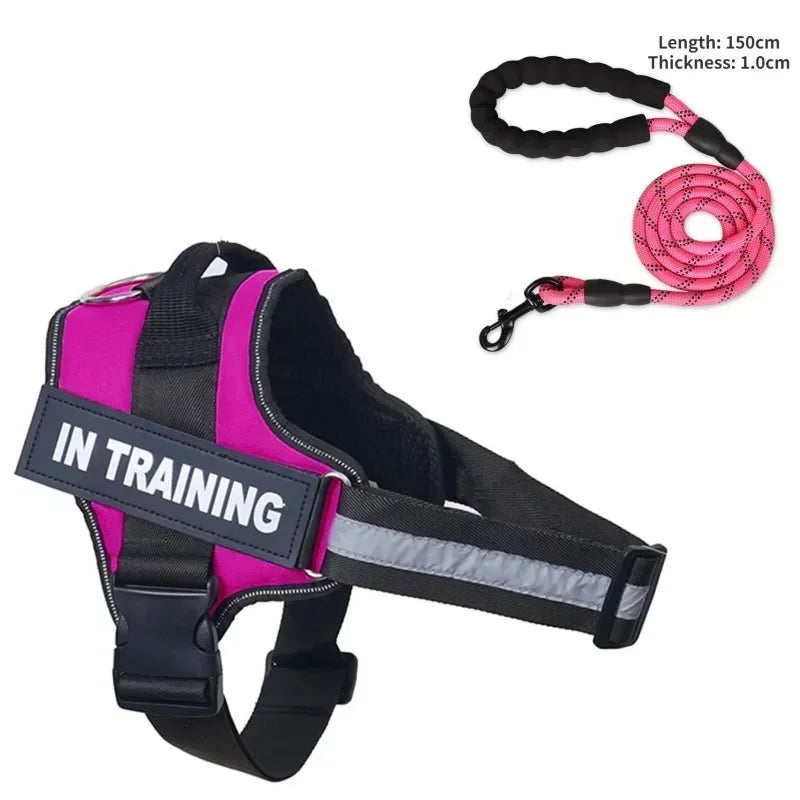 Dog Collar Harness ID Custom Patch-Reflective- Breathable No Pull Vest- Sizes XS to 2XL-Collars/Leashes