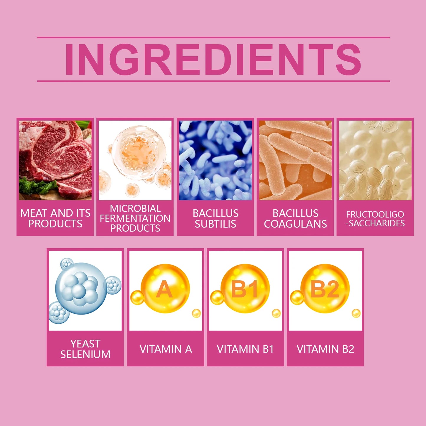 Dog Probiotic Tablets- Multivitamin Nutrition- Stomach Protection- Relieve Indigestion- Loss of Appetite -Pet Health Supports 80-Pet Supplements