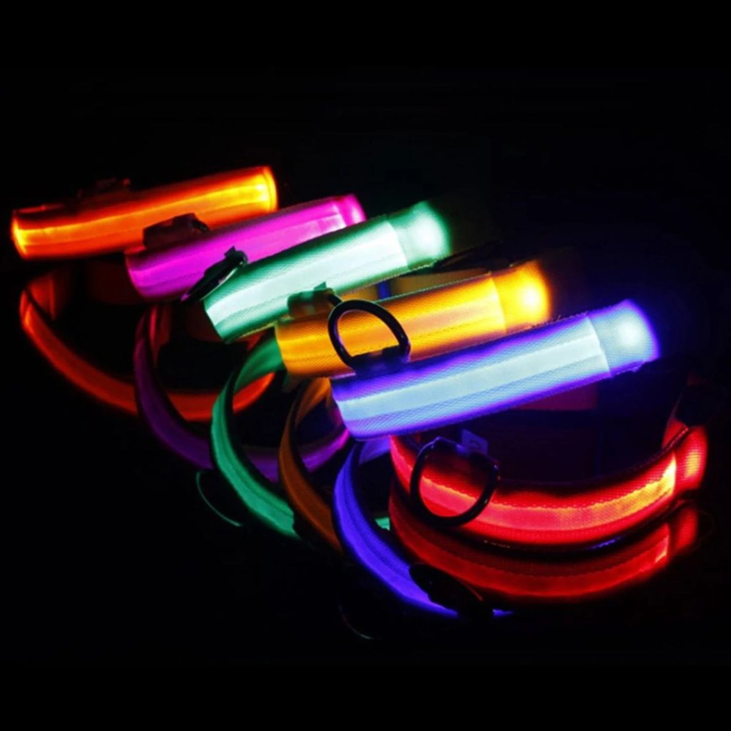 LED Dog Collar USB Rechargeable Reflective Safety Leash for Small Medium Large Dogs