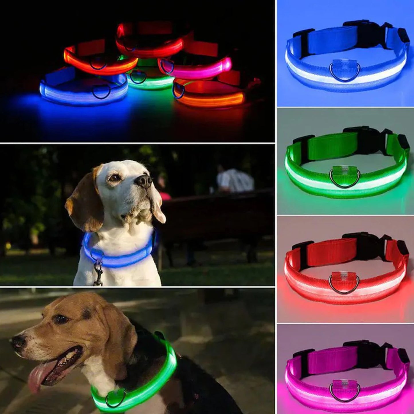 LED Dog Collar USB Rechargeable Reflective Safety Leash for Small Medium Large Dogs