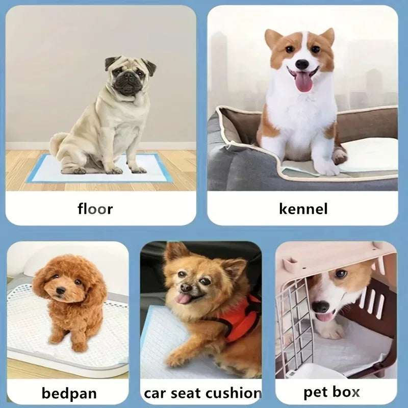 40/50/100/200pcs Super Absorbent Odor-Control Disposable Dog Training Pads-Pet Grooming