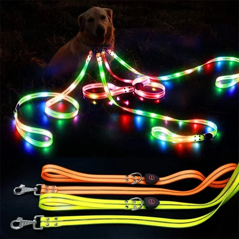 LED Light-Up Dog Leash- Walking- Safety- Glow in The Dark- USB Rechargeable- Adjustable- for Large Medium Small Pet Lighted Dog Collar
