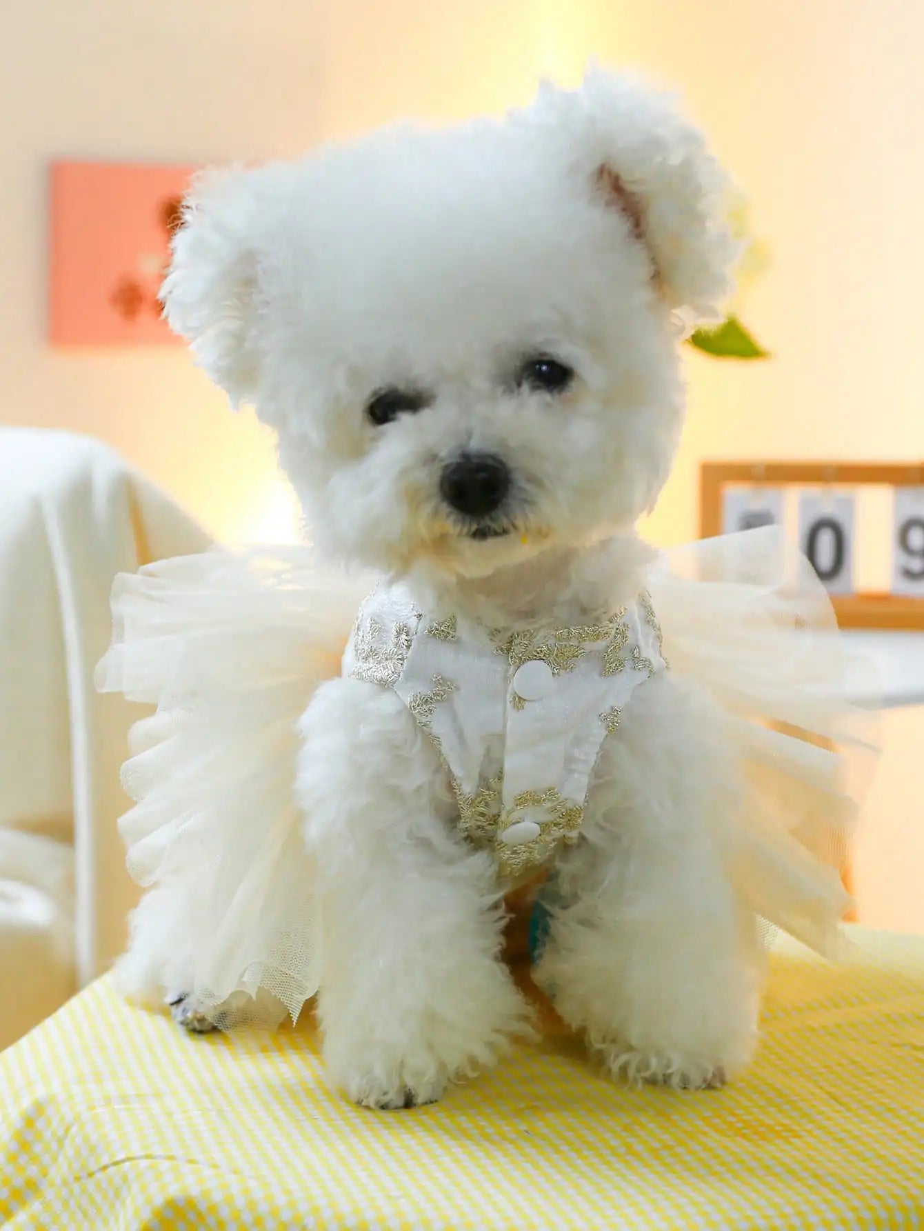 Beautiful 1Pc Luxury Pet Princess Wedding Dress- Thin Spring Summer Outfit- Gold Floral Embroidery- Pearl Bow Decor- Built-in D-ring For Traction-Sizes XS-XL-Costume/Apparel