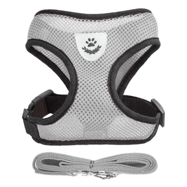 Dog Harness Walking Lead Leash-Polyester- Adjustable Mesh-sizes S to XL-Collars/Leashes