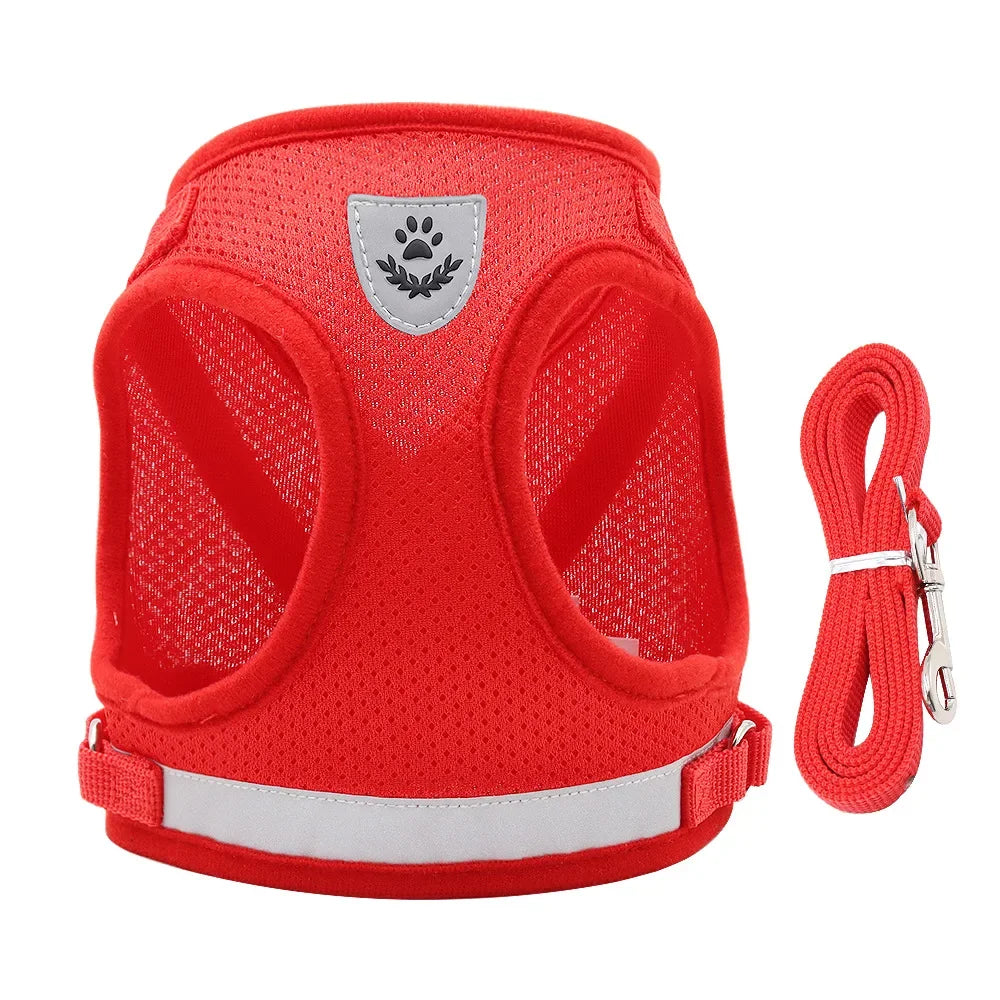 Adjustable Pet Dog Harness and Leash Set- Harness Vest for Dogs