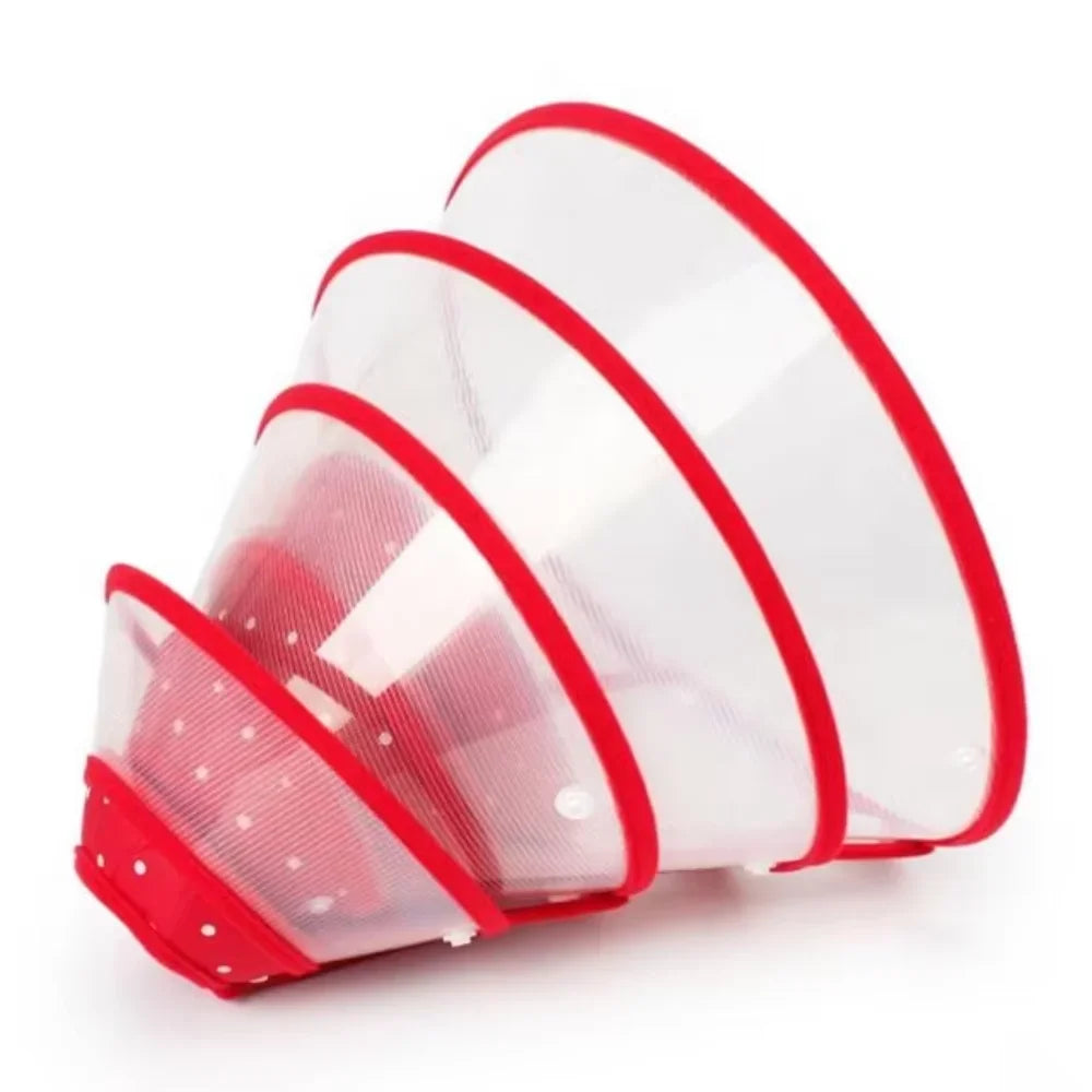 1Pc Cute Design Pet Cones-Adjustable- Comfortable- Recovery Martingale collar-Collars/Leashes