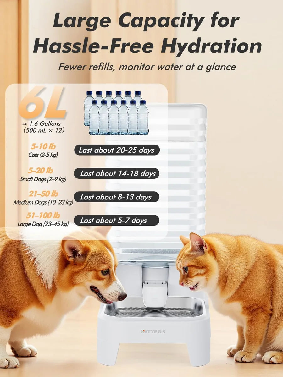 NITYERS 6L Gravity Pet Water Dispenser- Large Capacity -Automatic Dog Water Bowl-Elevated-No Electricity- Stainless Steel Tray-Pet Bowls/Feeding