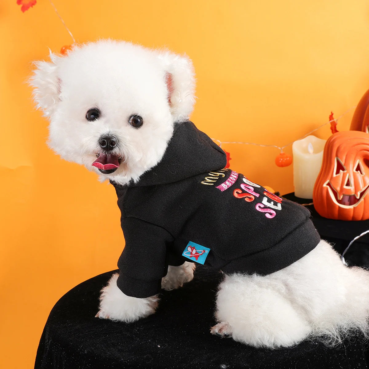 Thriller Season Halloween Sweater Pet Clothes Dog - English Embroidery- Traction Hoodie- Open Button Jacket-sizes XS-XL