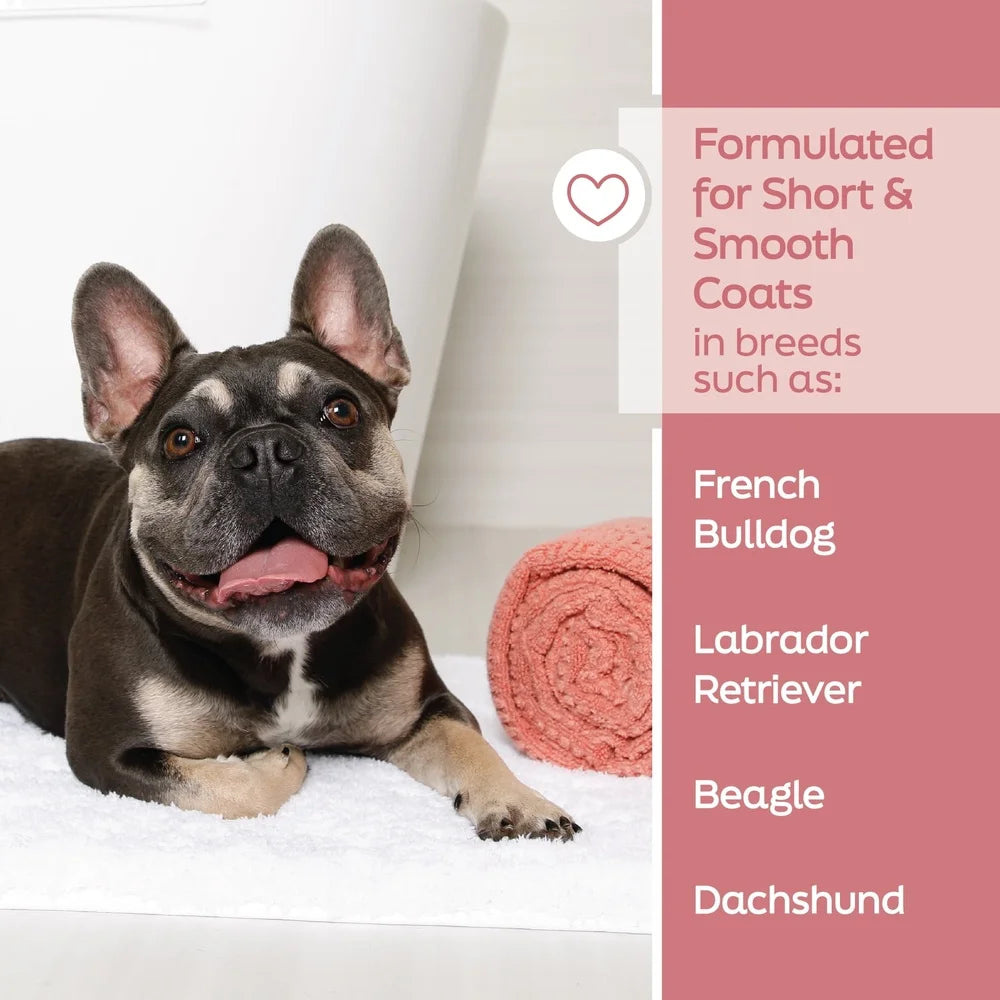 Dog Shampoo for Short Smooth dog Coat- Nourishing Oat Milk, Coconut Oil, Vitamin E, Natural Ingredients Gentle Clean to Hydrate Skin-Pet Grooming