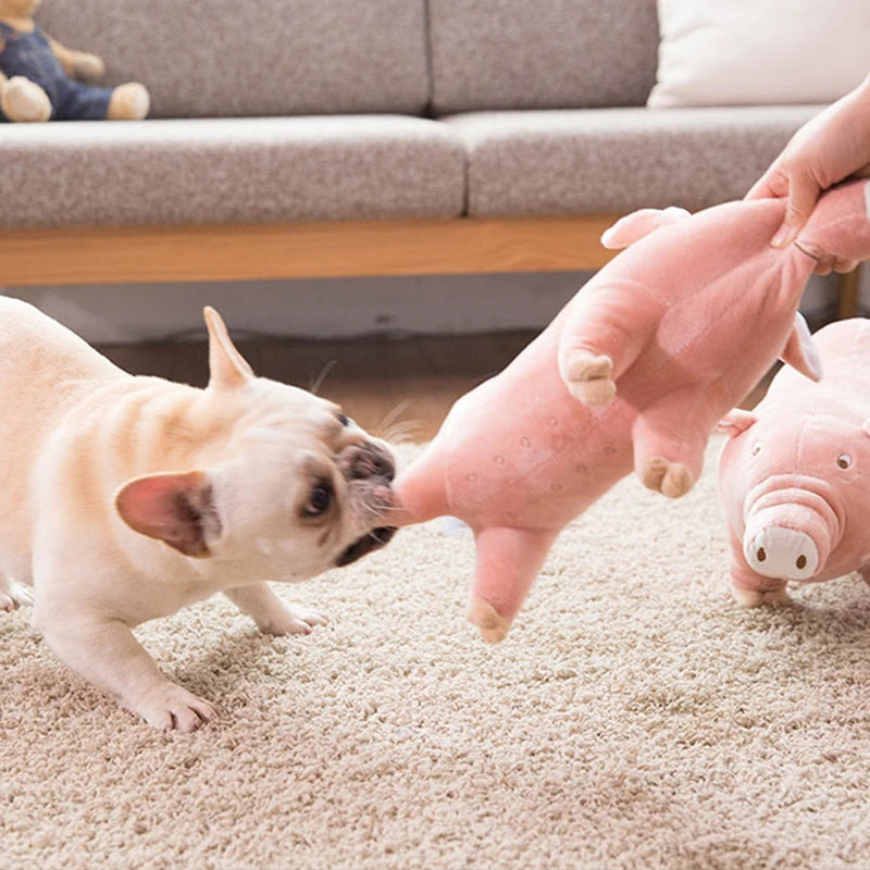 Plush Pig Toy for Small Dogs- Dog Accompanying Sleeping Toys-Dog Toys