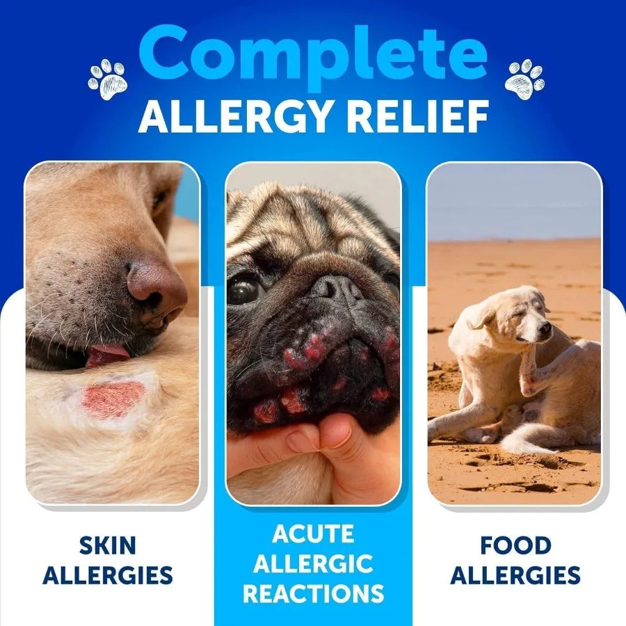 Dog Allergy Relief Chews Itching Skin Relief for Dogs Fish Oil Omega 3 Seasonal Allergies Pills Skin Coat Anti Itch Hot Spots