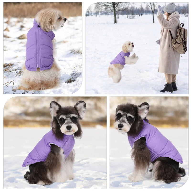 Winter Warm Dog Cotton Coats- Back Zipper- Windproof- Thickness Clothes for Small Medium Dogs Chihuahua French Bulldog Outfits