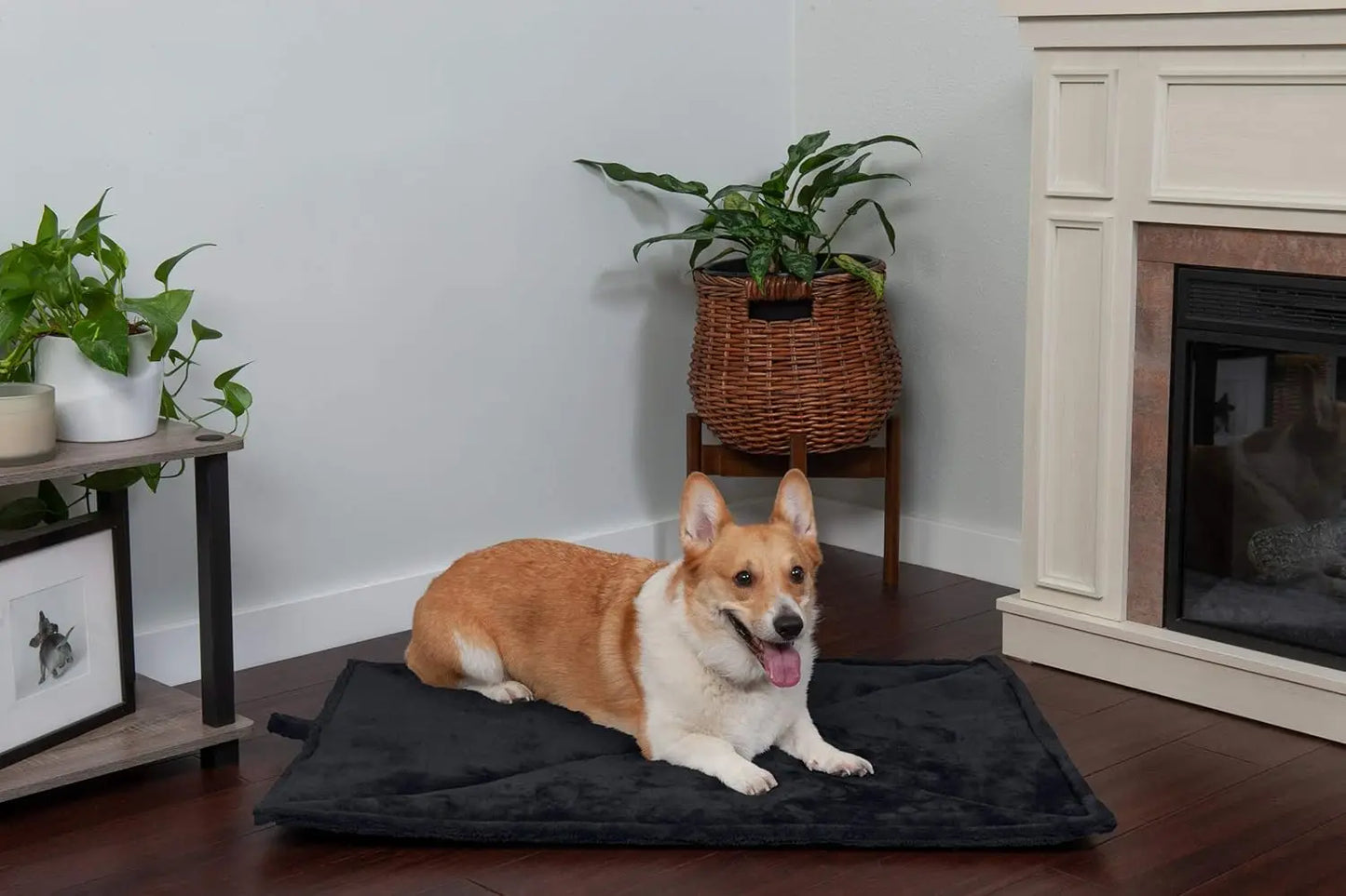 Self-Warming Bed for Indoors- Small Dogs- Washable Quilted Faux Fur- Heat Reflecting Pet Mat - Black, Small (2-Pack)