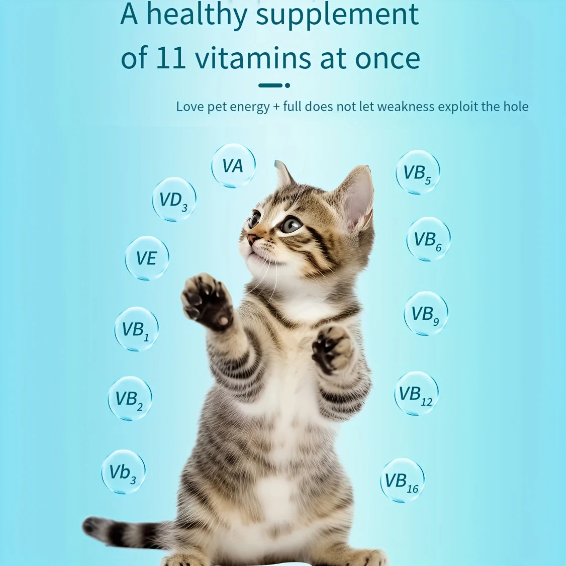 Pet Multivitamin  - 200 Tablets - Dog and Cats-Vitamins and Supplements-Senior & Puppy Multivitamin for Dogs