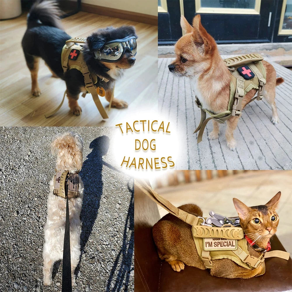 Tactical Puppy Harness Leash Set- For Small Dogs- Adjustable- Harnesses Vest For Training-Military-Collars/Leashes