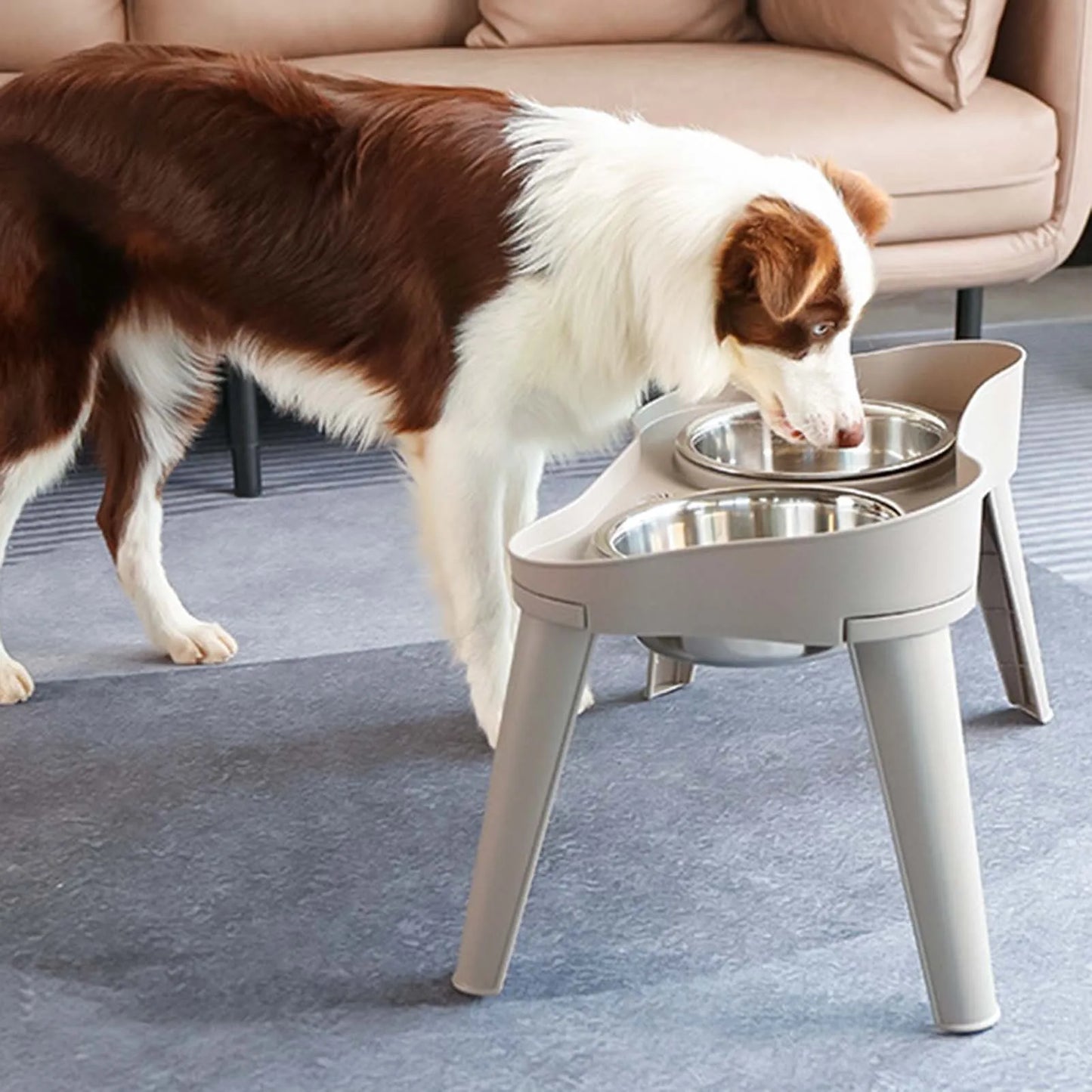 Raised Stand Elevated Dog Feeder- Non-Slip and No Spill Design Bowls- Suitable for Improve Posture and Comfort