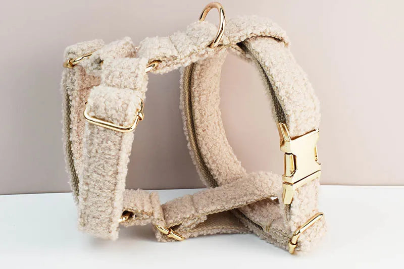 4 pcs Teddy Velvet Dog Collar/Leash Set- Custom Engraved Nameplate-Collars/Leashes