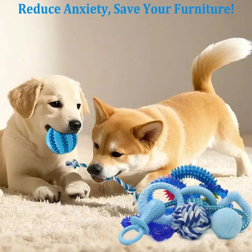 Cute 20 Pack Puppy Chew Toys - Blue Dog Teething Toys- Teething Rings/Ropes-Rubber Toy Bundle for Small Dogs-Dog Toys