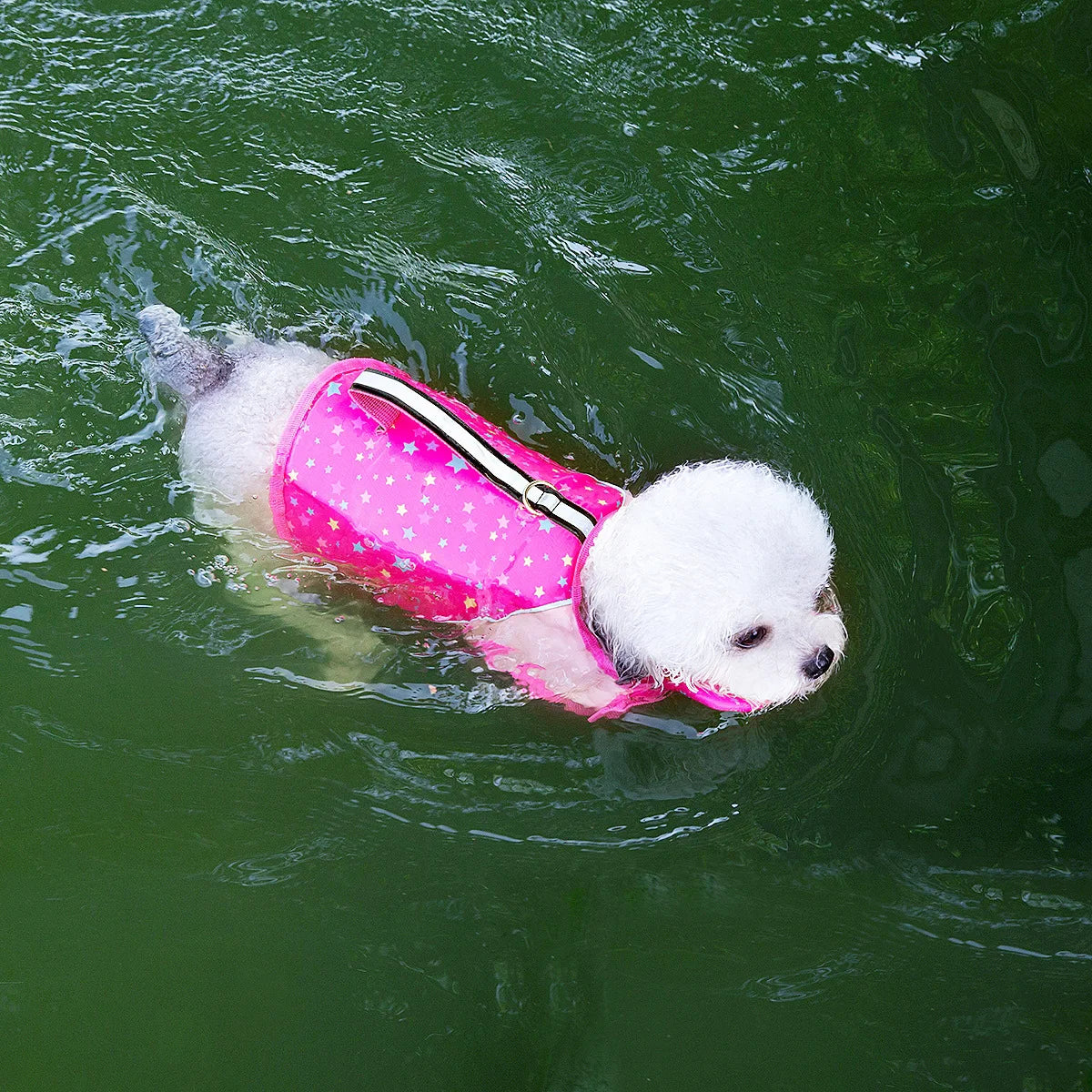 Summer Life Vest with Handle- Buoyancy Clothes-with  Head Rest- Reflective-Adjustable-Sizes XS-XXL-Pet Accessories