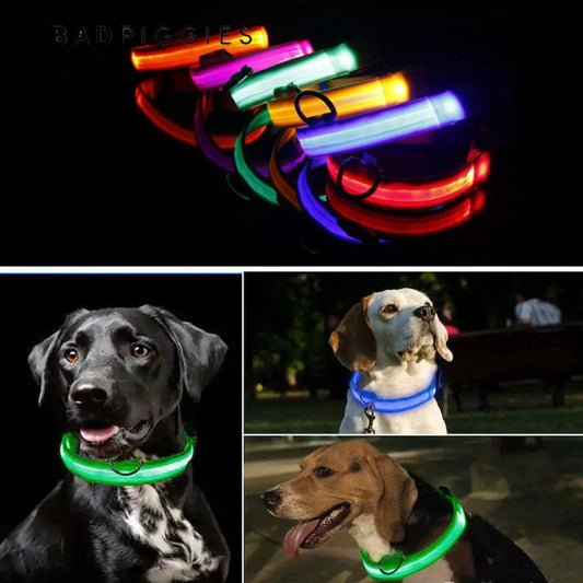 LED Dog Collar USB Rechargeable Reflective Safety Leash for Small Medium Large Dogs