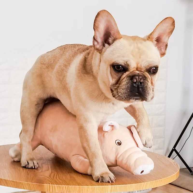 Plush Pig Toy for Small Dogs- Dog Accompanying Sleeping Toys-Dog Toys