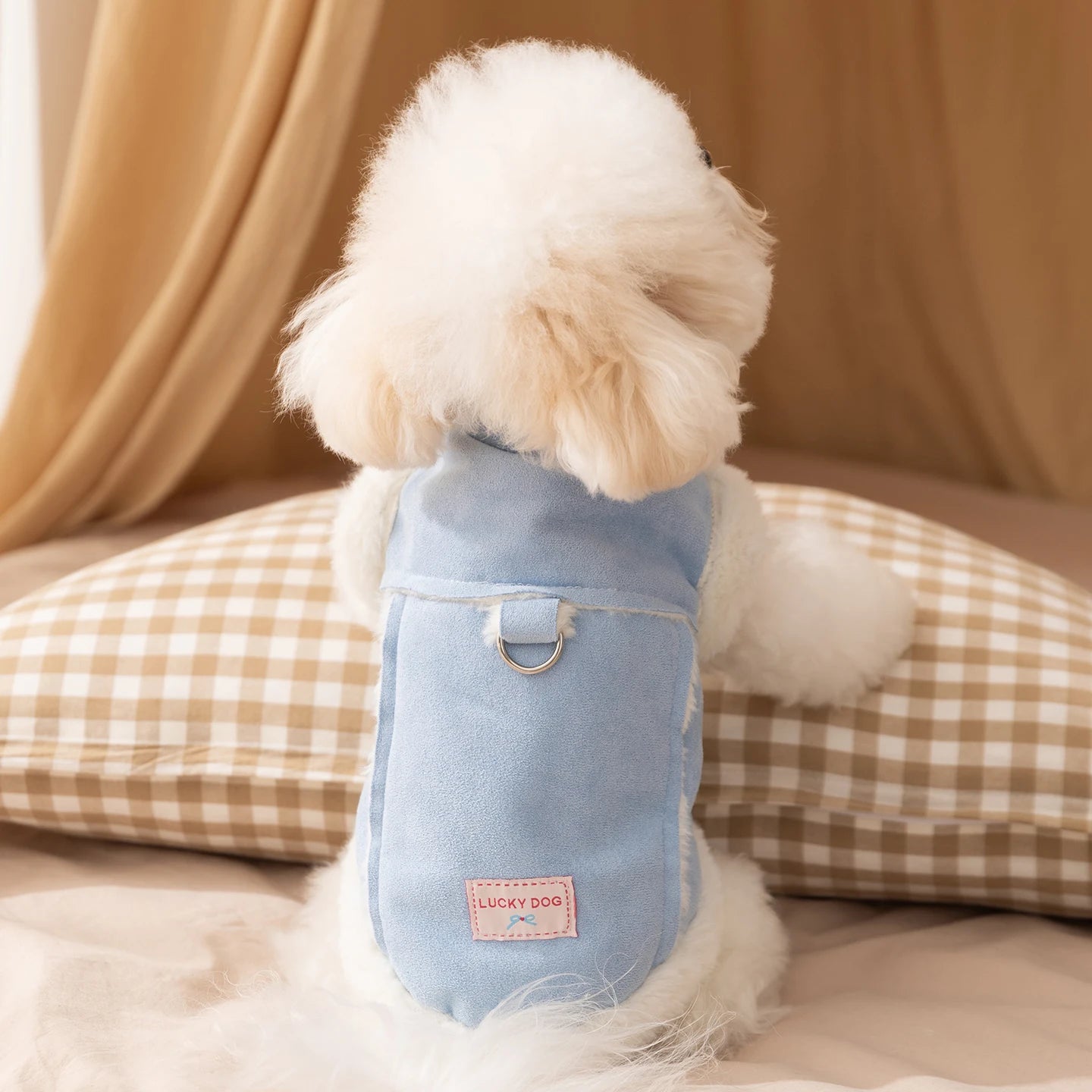 Awesome Padded Dog Vest-Solid Colors- Cotton-Sleeveless Jacket with Traction Buckle-Costumes/Apparel