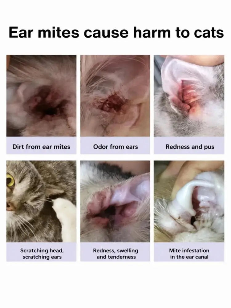 Ear mite treatment for Dogs-Pet Grooming