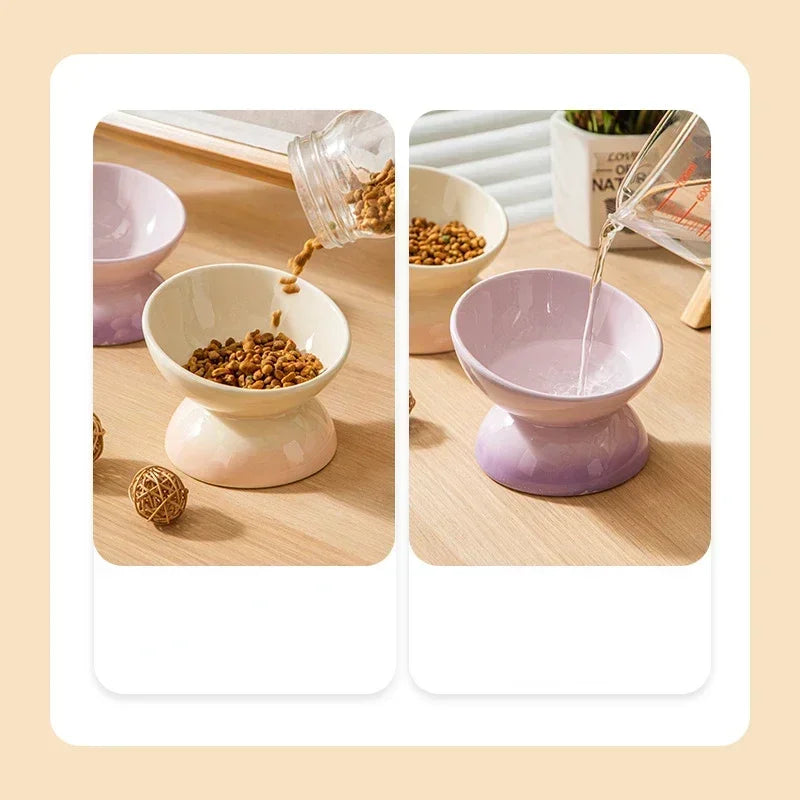 Tilted  Puppy Food  Feeders- Gradient Ceramic- Raised Eating Pet Dogs Drinking or Feeding- Small