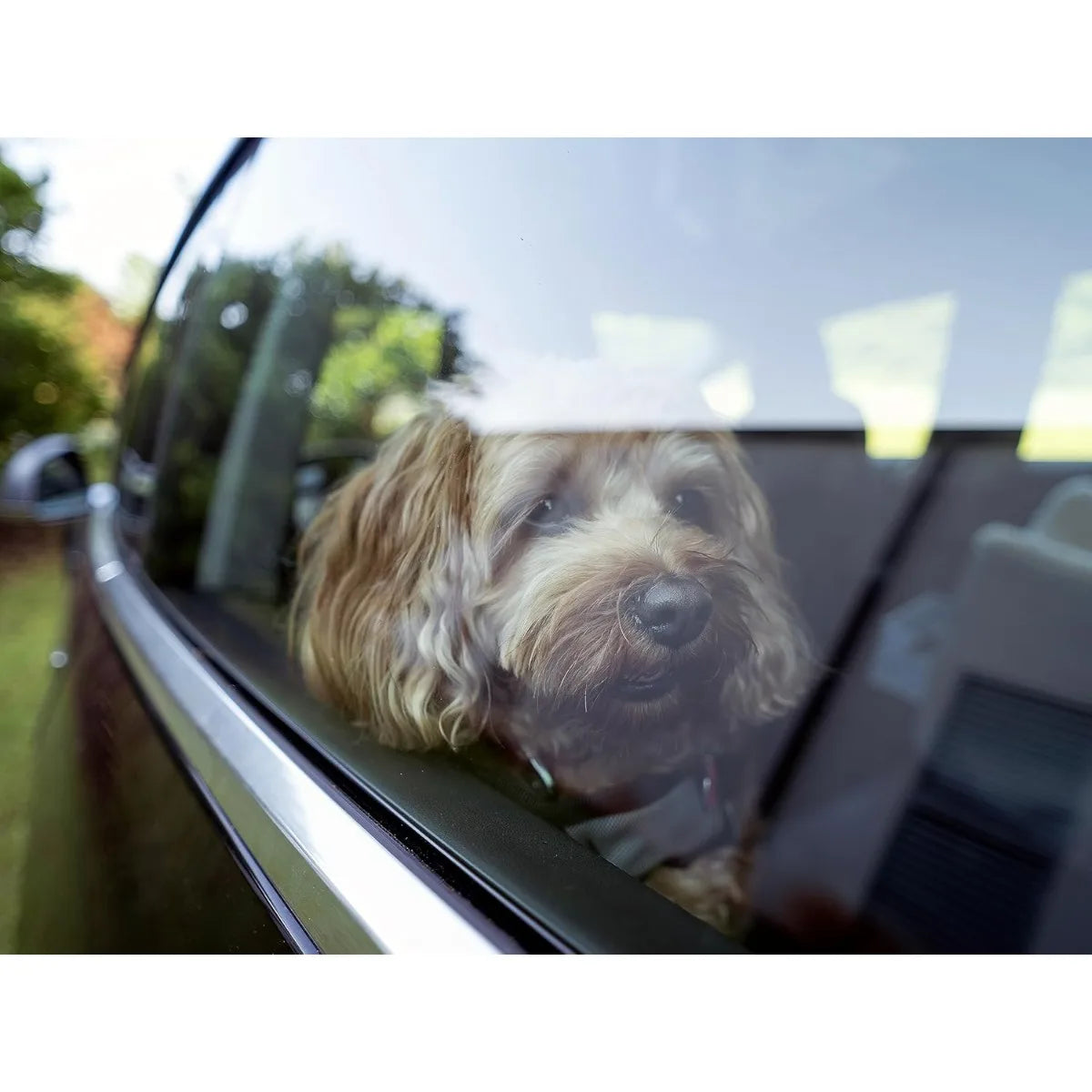 Snoozer Luxury Lookout Pet Car Seat- Small Luxury II, Anthracite with Black-Storage-Pet Car Seats