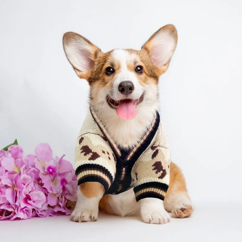 Dog Cardigan Bear- Pattern Sweater for Small/Medium Dogs- Puppy Chihuahua Yorkies-Costumes/Apparel