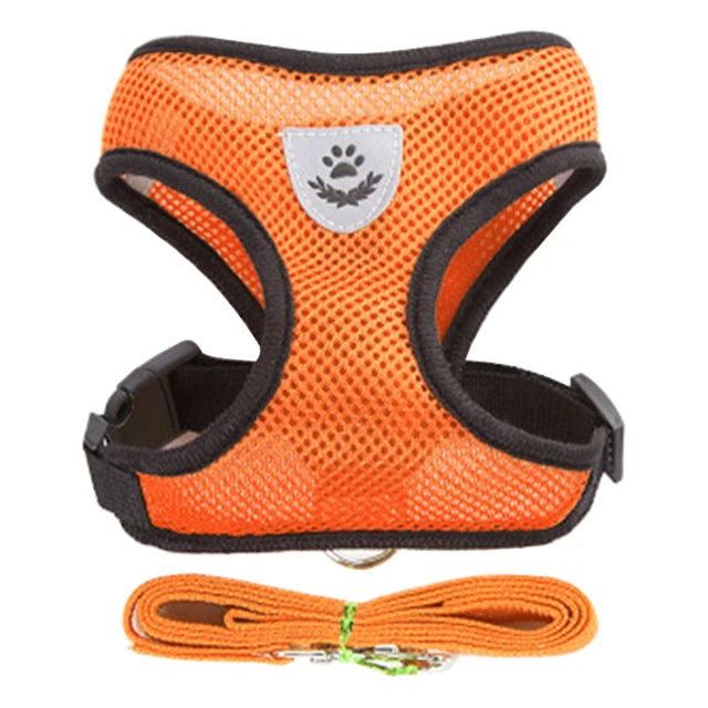 Dog Harness Walking Lead Leash-Polyester- Adjustable Mesh-sizes S to XL-Collars/Leashes